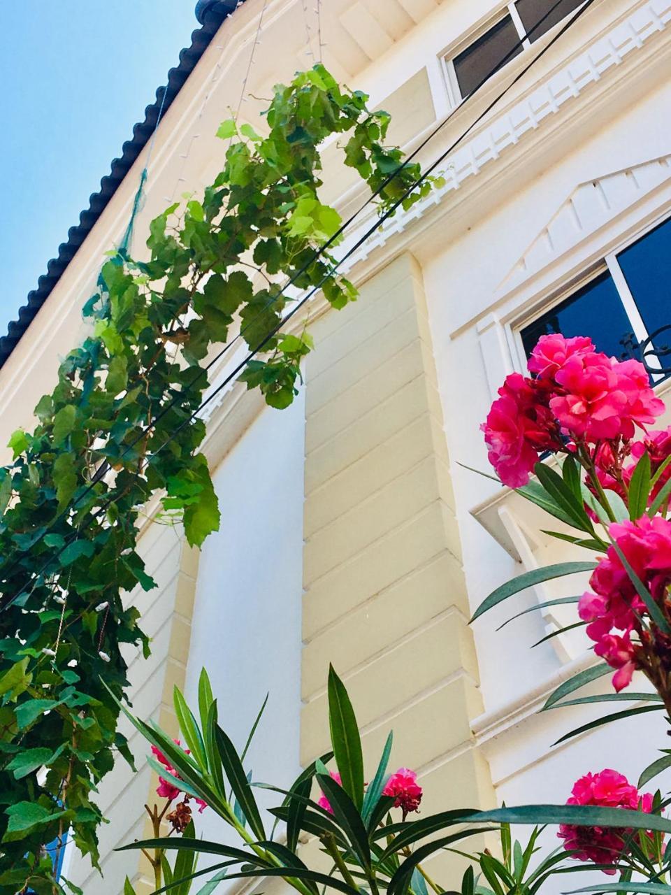 Hotel Daffodils Spice Court Kochi Zewnętrze zdjęcie