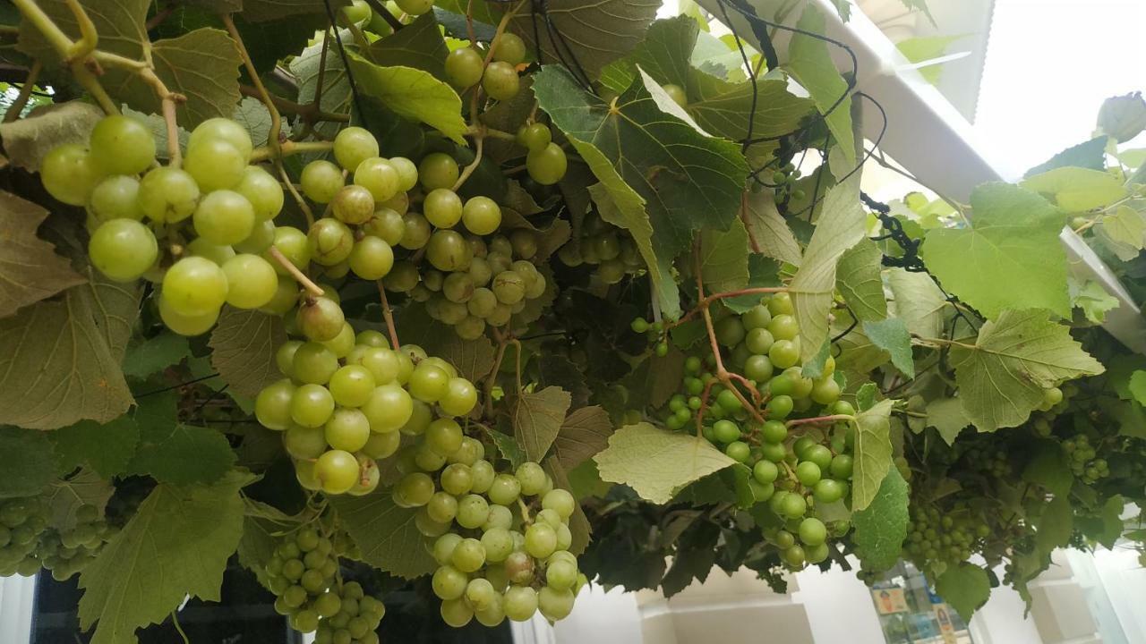 Hotel Daffodils Spice Court Kochi Zewnętrze zdjęcie